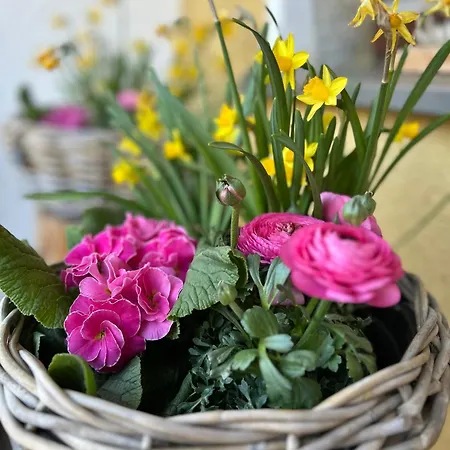 Penzion Otto Netphen