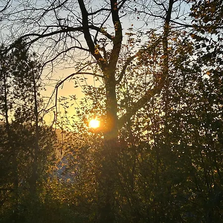 Penzion Otto Netphen