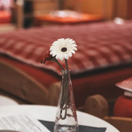 Otto Guest house