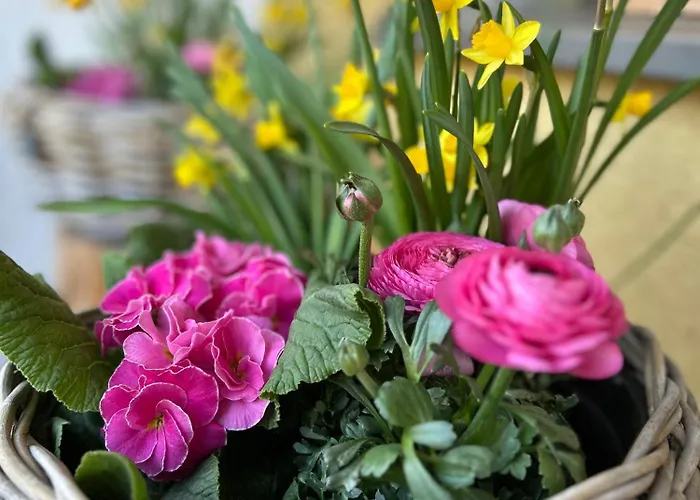 Gæstehus Otto Netphen