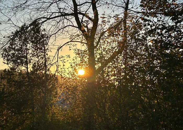 Gæstehus Otto Netphen