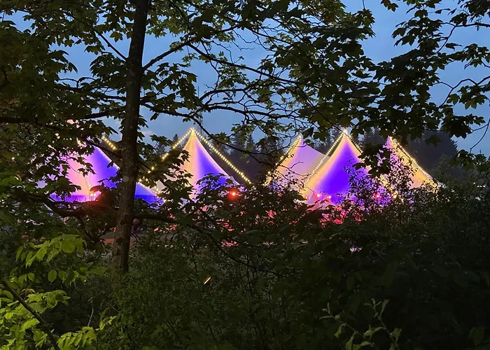 Otto Guest house Netphen